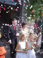 confettis_2.jpg