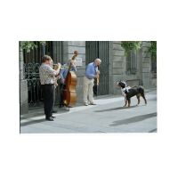syrah-musiciens130903.JPG